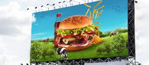 Top-Quality Flex Printing in Velachery